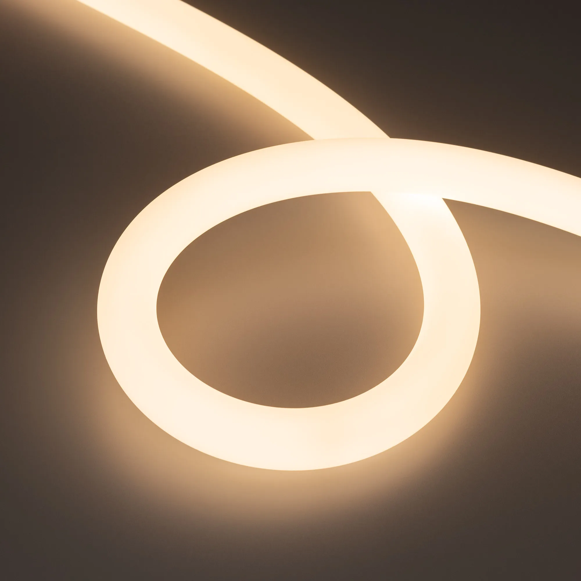 Лента светодиодная герметичная MOONLIGHT-TOP-A336-D25mm 48V Warm3000 360deg (12.5 W/m, IP65, 2835, 20m, wire x1) (Arlight, Вывод прямой, 3 года) - изображение товара